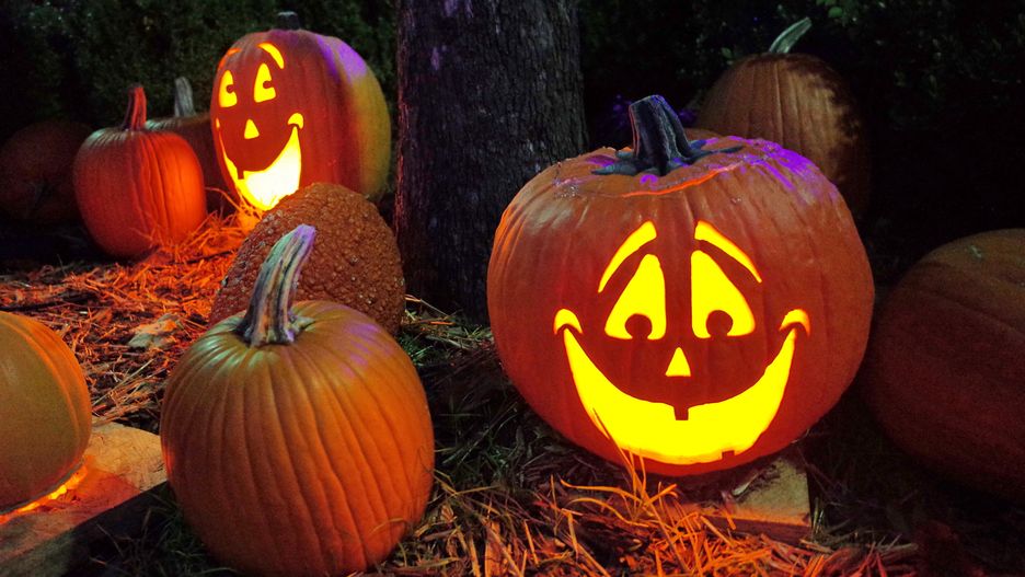 dynia, halloween