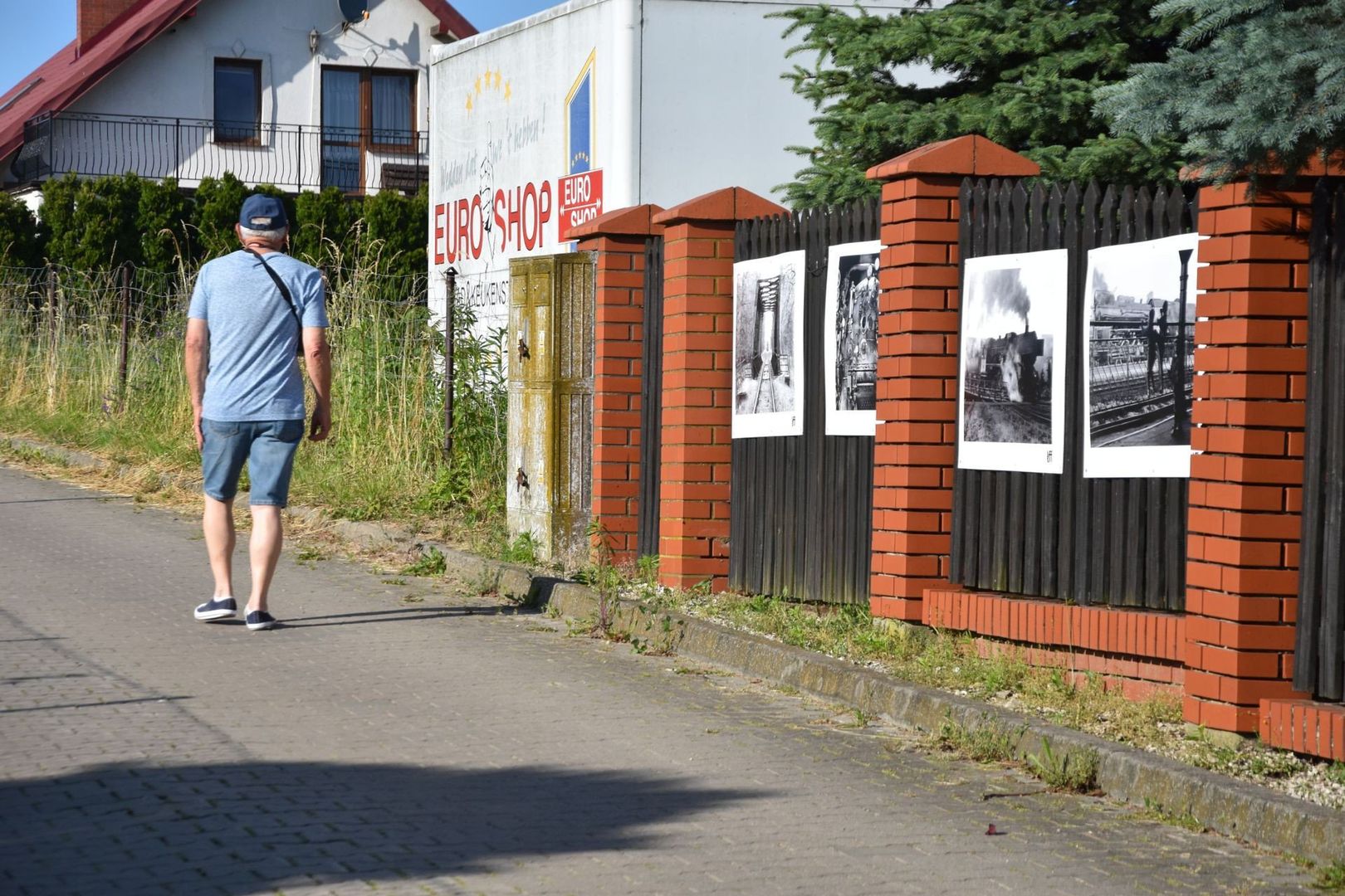 Łazieniecki Festiwal Fotografii przyciągnął mieszkańców. Niezwykłe zdjęcia zawisły na płotach w Łazieńcu