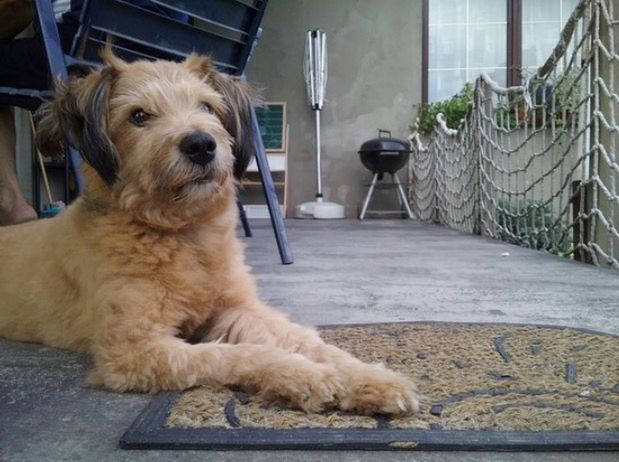 Samsung Galaxy Tab A – tablet do zadań zwyczajnych [recenzja konkursowa #9] 11