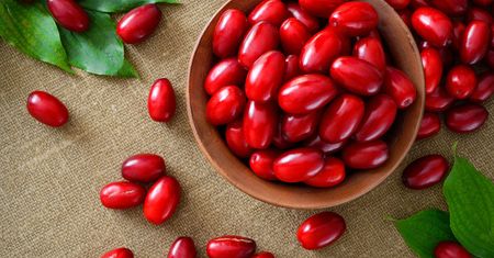 Dereń jadalny – polskie superfood