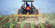 Pomoc dla rolników od rządu. Nawet do 3000 zł za hektar