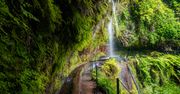 Madera: Levada do Rei prowadzi do miejsca, które wygląda jak ukryty świat wyspy