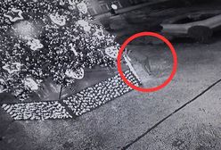 Połaszczył się na ozdoby z choinki. Wpadł, gdy wrócił po więcej