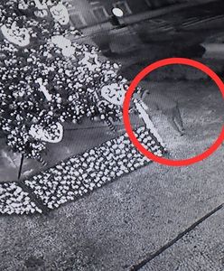 Połaszczył się na ozdoby z choinki. Wpadł, gdy wrócił po więcej