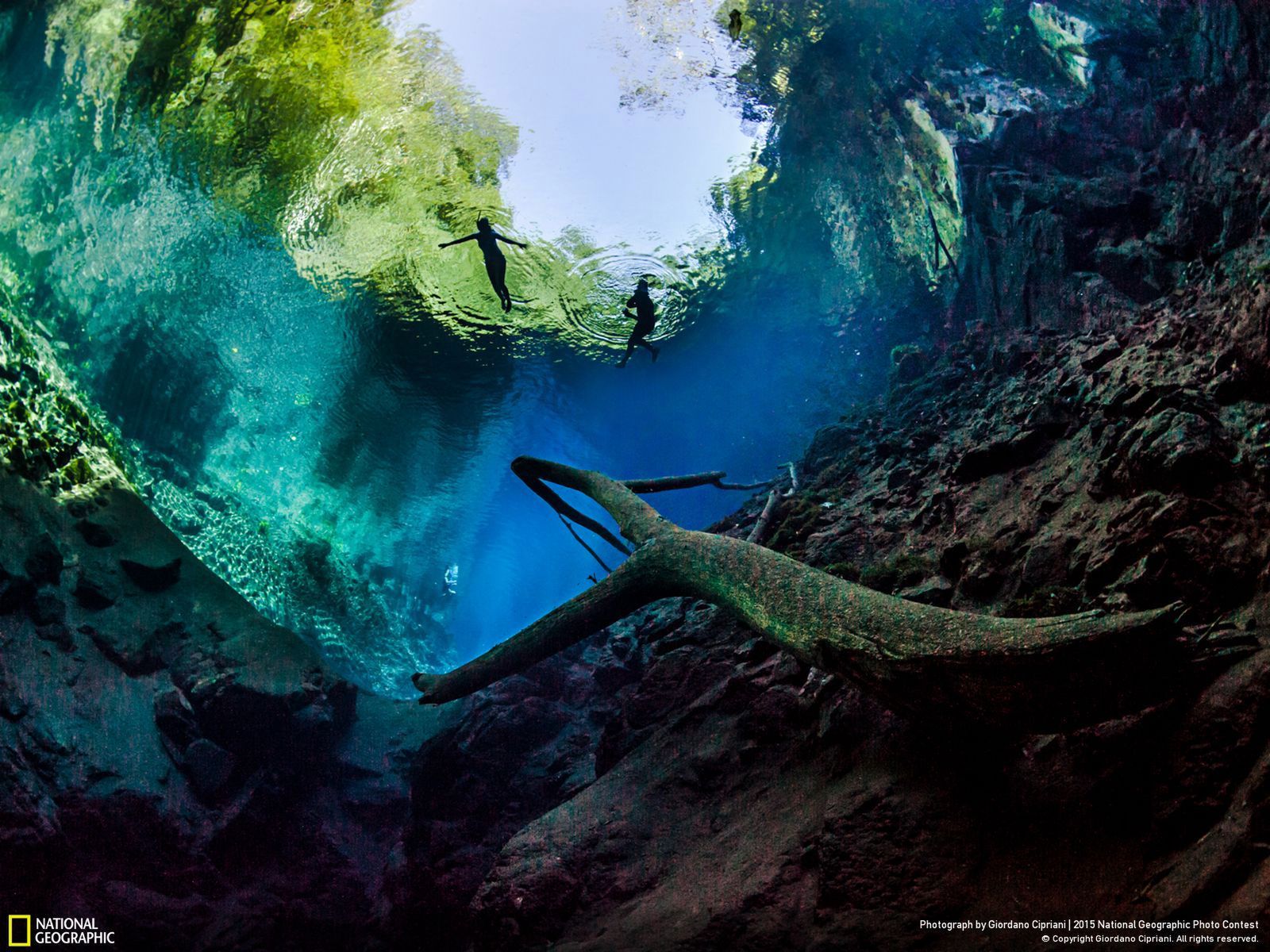 Zachwycają przyroda, czyli najlepsze zgłoszenia National Geographic Photo Contest 2015 18