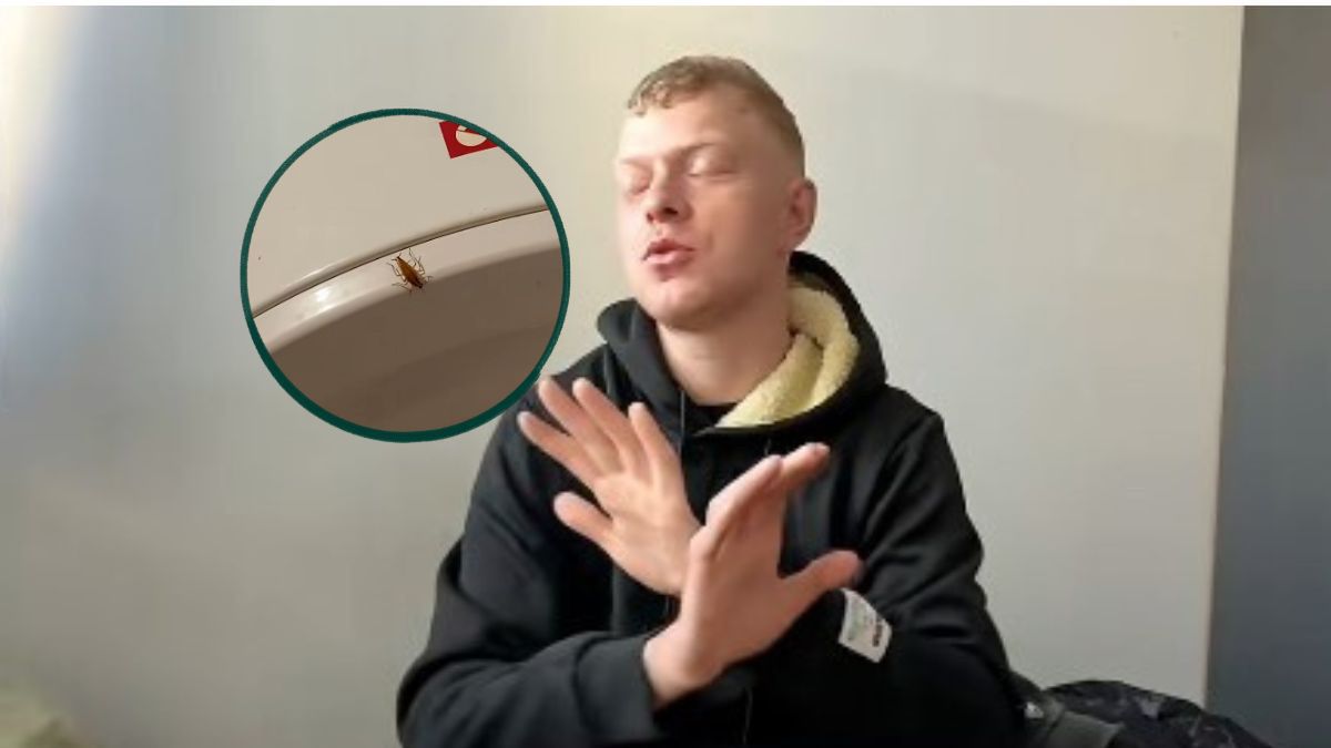 Karaluchy w hostelu pracowniczym