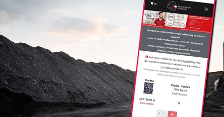 Mityczny węgiel w sklepie PGG. Tysiące osób walczy o tańszy opał