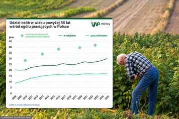 Żywią nas emeryci? Zmiana pokoleniowa w polskim rolnictwie [ANALIZA]