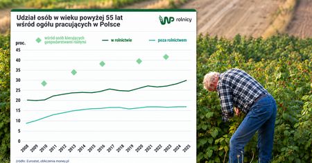 Żywią nas emeryci? Zmiana pokoleniowa w polskim rolnictwie [ANALIZA]