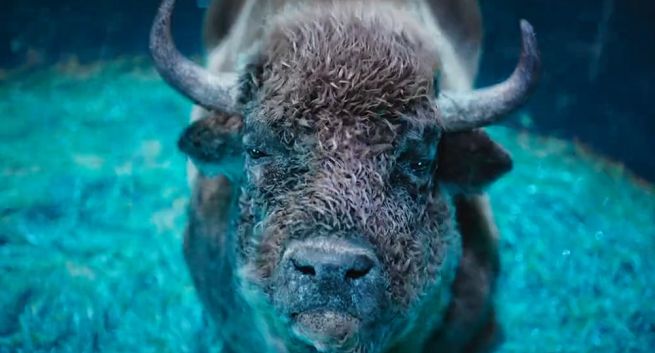 UFO w nowej reklamie piwa Żubr