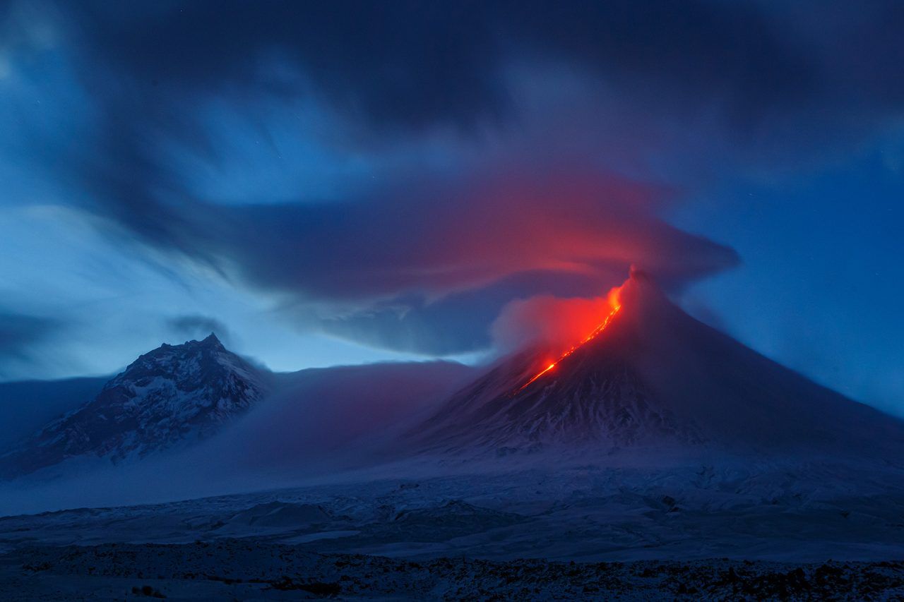 Nature Photographer of the Year 2021. Oto najlepsze zdjęcia przyrodnicze minionego roku 7