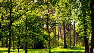 Gdańsk: Tak dla Boiska pod Wierzbami. Rada dzielnicy Śródmieście z poparciem dla apelu mieszkańców. "Walczymy o nasze domy"
