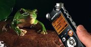 Fotograficzny Flash News