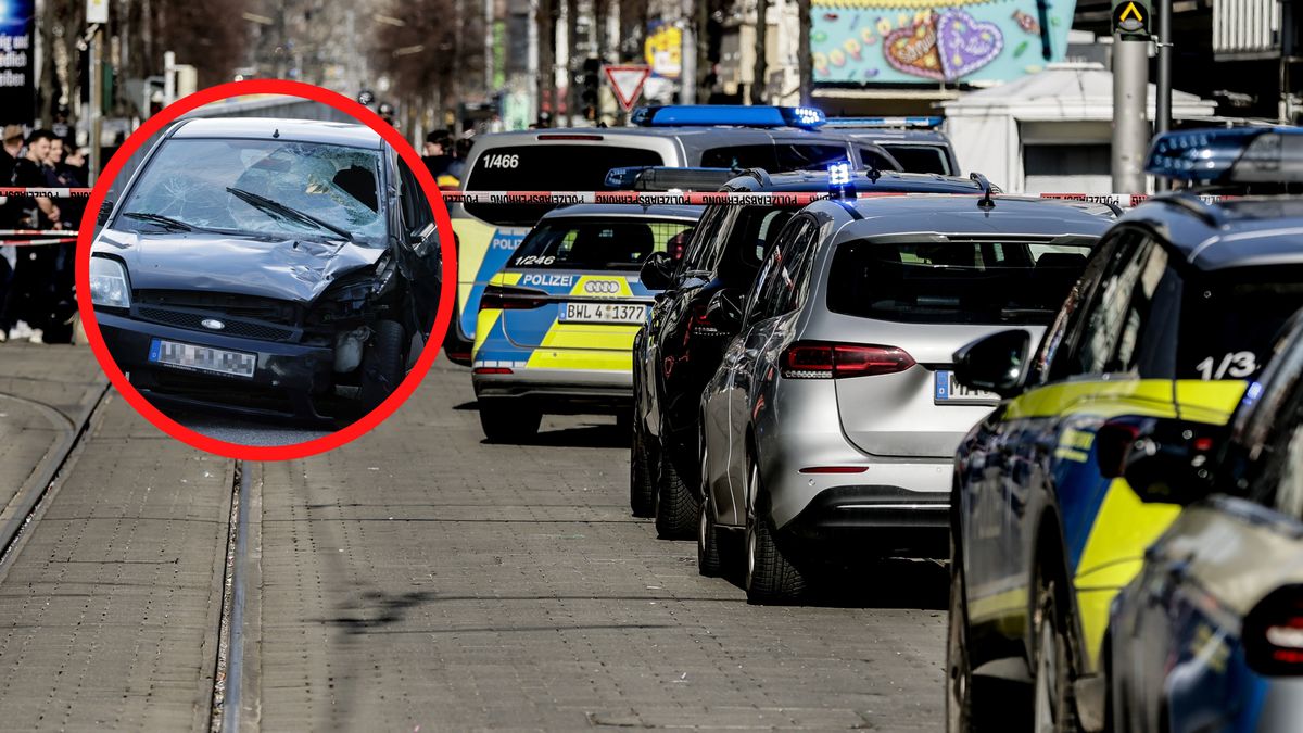 Znajomi Alexandra S. zabrali głos.