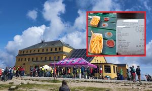 Zamówił frytki w schronisku. "Tu raczej ciężko będzie się najeść"