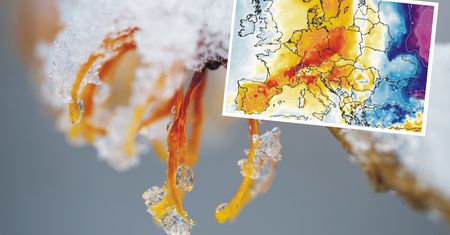 Pogoda. Straszą zimą, a przyroda wie swoje. Sypotyk IMGW przyznaje