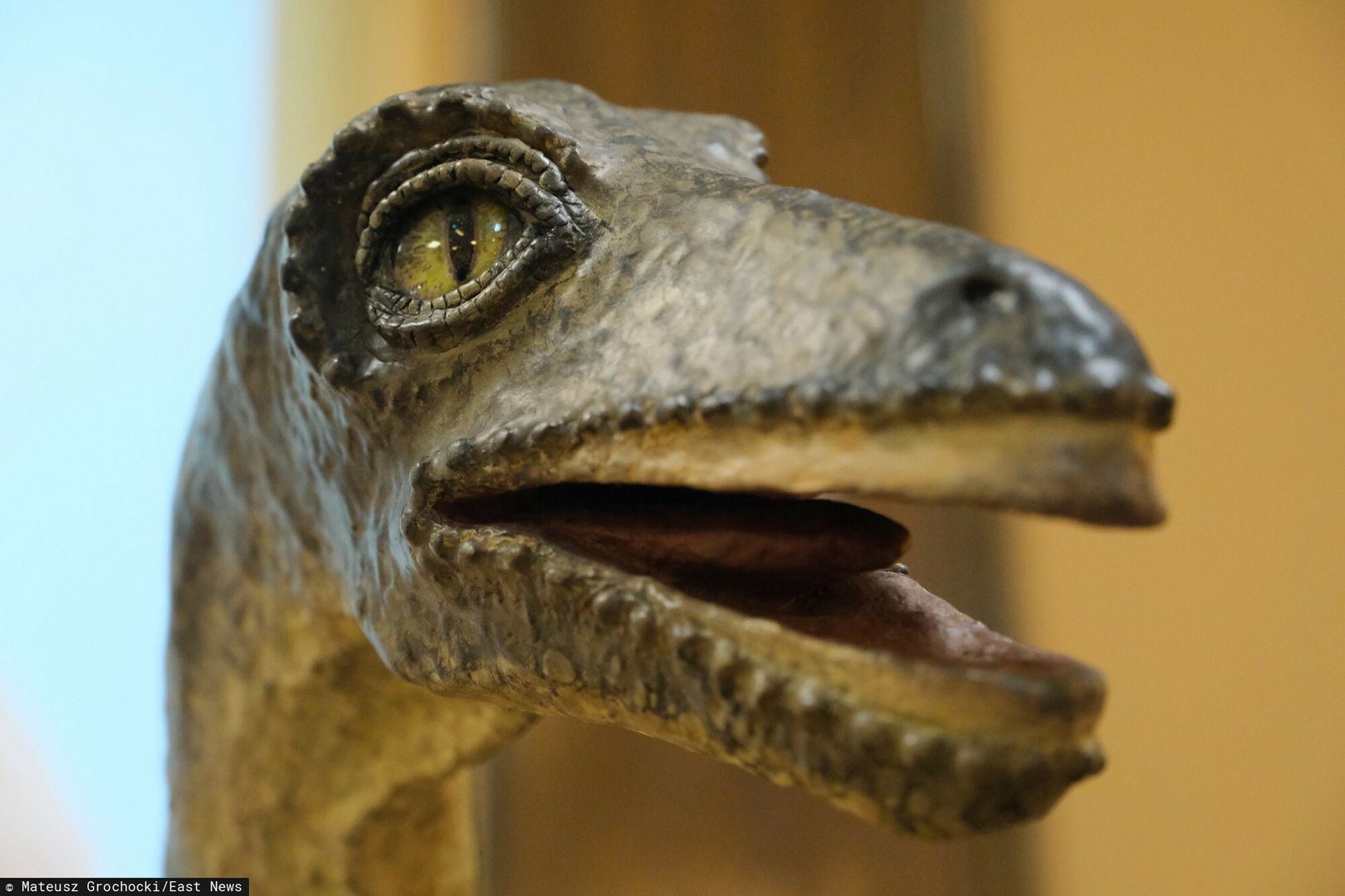 Wyginięcie dinozaurów. Najnowsze odkrycie naukowców z USA 
