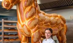 Memy z chałkoniem podbijają sieć. Medioznawca: to wizualne oszustwo