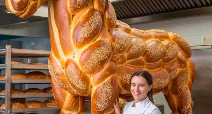 Memy z chałkoniem podbijają sieć. Medioznawca: to wizualne oszustwo