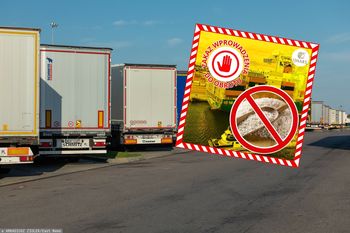 Miał być ekologiczny, wykryto w nim pełno chemii. To było w ryżu