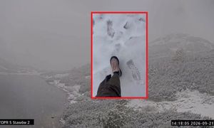 To nie fotomontaż. "Wczoraj lato, dziś zima"