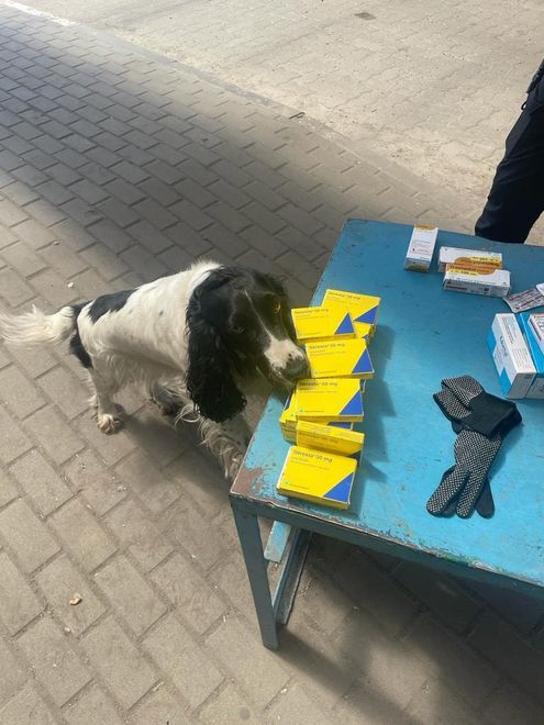 Собака знайшла в українця заборонені препарати