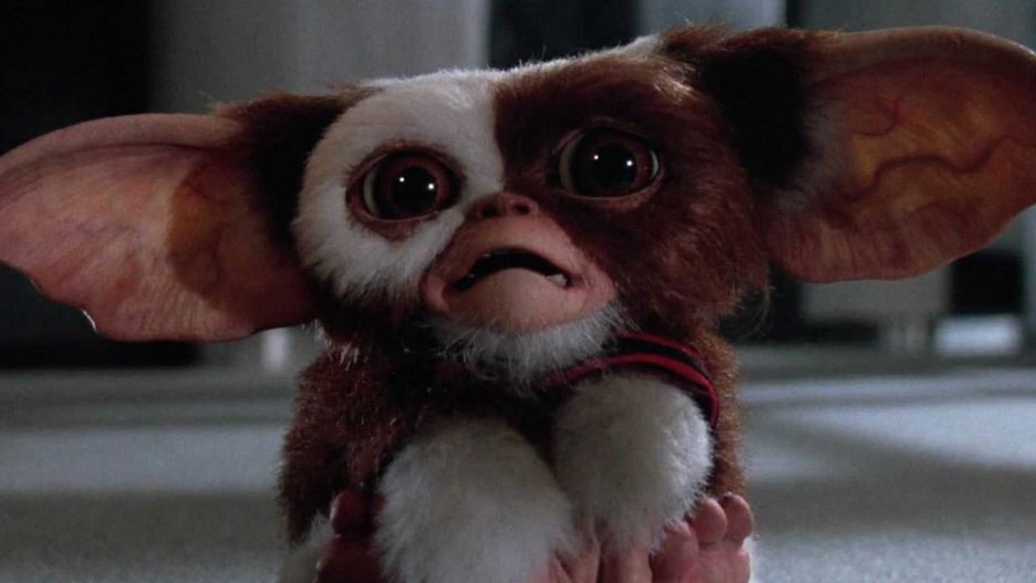 Źrodło fot. Gremliny rozrabiają, Joe Dante, Amblin Entertainment, 1984