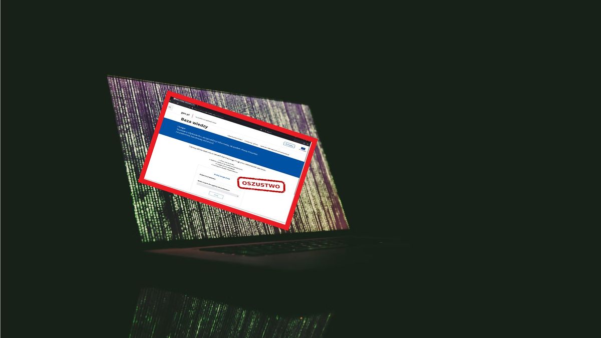 Oszuści wycelowali w użytkowników OLX i Vinted.