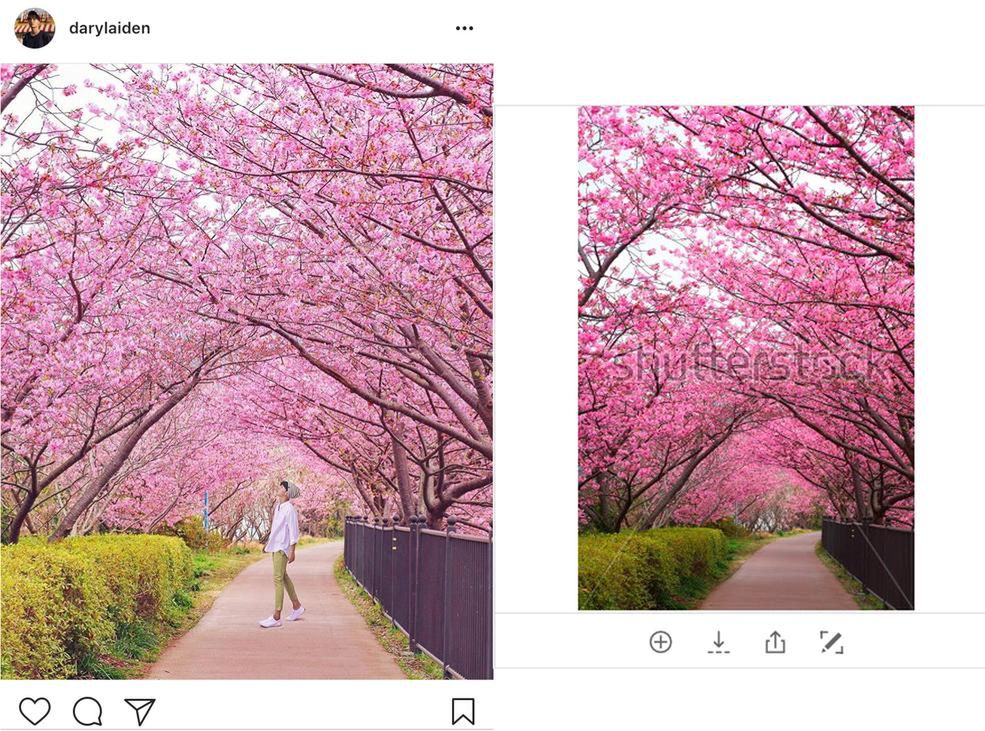 Kradł cudze zdjęcia i wrzucał na Instagram. Teraz przeprasza 3