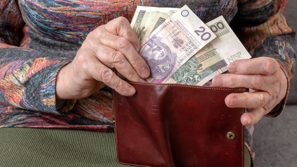 Hands of an elderly pensioner holding leather wallet with polish currency money. Concept of financial security in old age.cash, retirement, pensioner, money, wallet, currency, hands, elderly, polish, euro, financial, security, banknote, old, retired, adult, age, bank, benefit, bills, closeup, concept, counting, female, finance, gesture, hundred, income, investing, paper, pension, poland, red, savings, senior, tax, wealth, women, wrinkled, purse, insurance, addition, raise, valorization, job, household, pay, capital, working, state, cash, retirement, pensioner, money, wallet, currency, hands, elderly, polish, euro, financial, security, banknote, old, retired, adult, age, bank, benefit, bills, closeup, concept, counting, female, finance, gesture, hundred, income, investing, paper, pension, poland, red, savings, senior, tax, wealth, women, wrinkled, purse, insurance, addition, raise, valorization, job, household, pay, capital, working, stat
