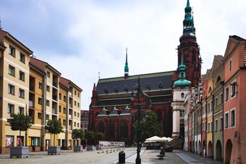 W Legnicy rozpoczął się remont ulicy Wroniej, która… od wojny była drogą gruntową, prawie nigdy nie naprawianą