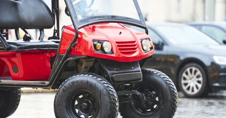 Plaga na gdańskiej starówce. Służby ruszyły z wielką kontrolą