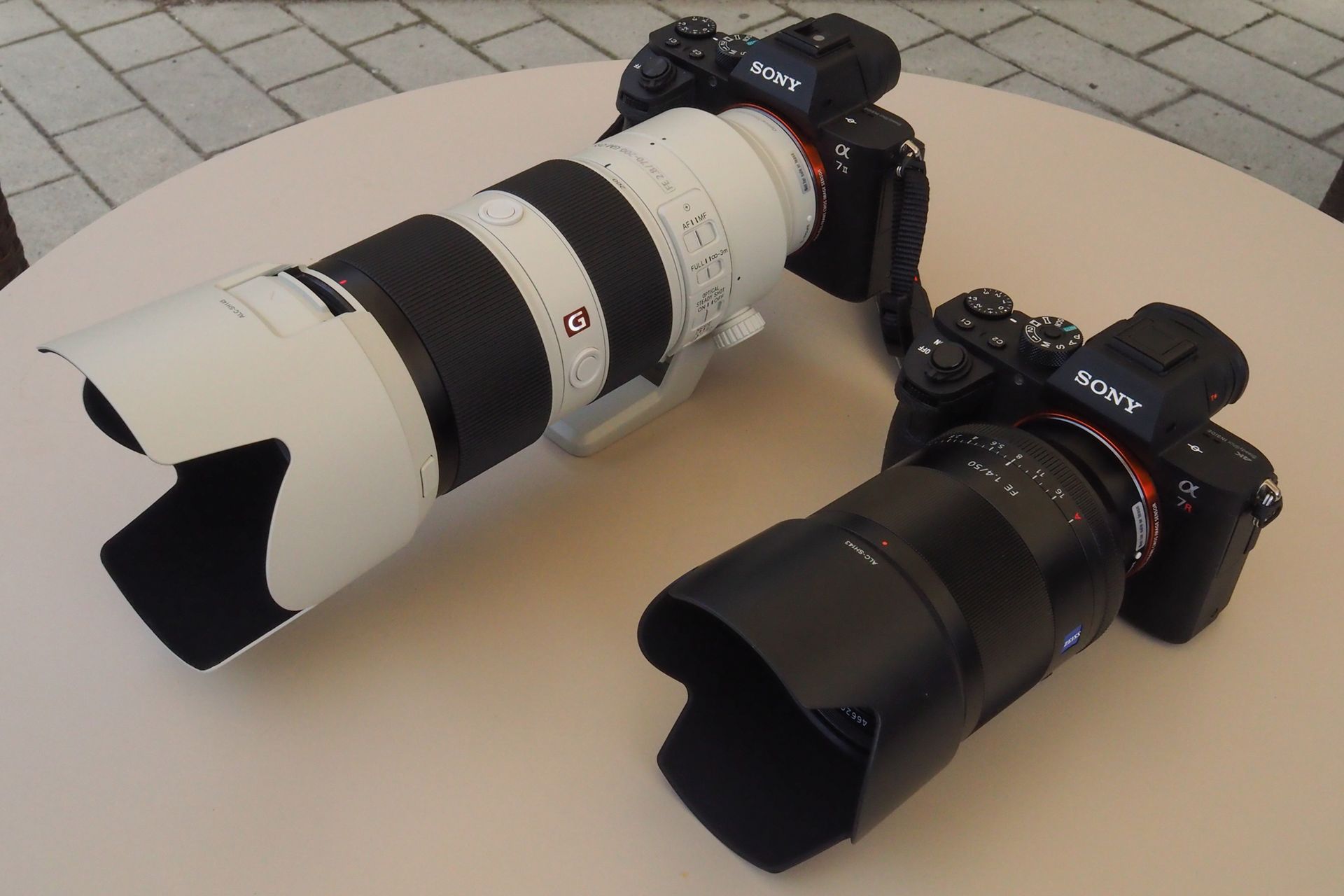 Sony FE 70–200 mm f/2.8 GM OSS - zdjęcia przykładowe z ZOO w Berlinie 3