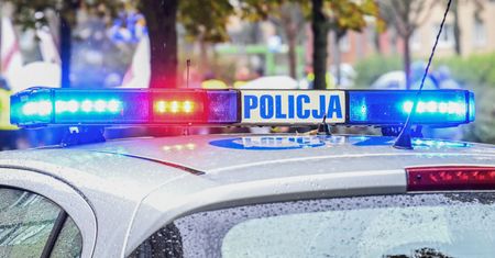 "Akademia gwałtu" pod lupą. Zatrzymania w powiecie kępińskim