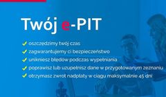 Internetowa awaria skarbówki. Nie działa kilka usług