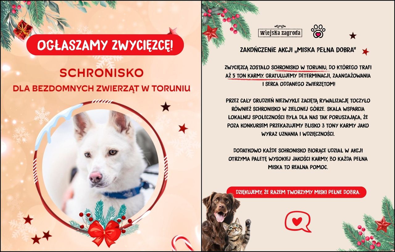 Grafika podsumowująca rywalizację