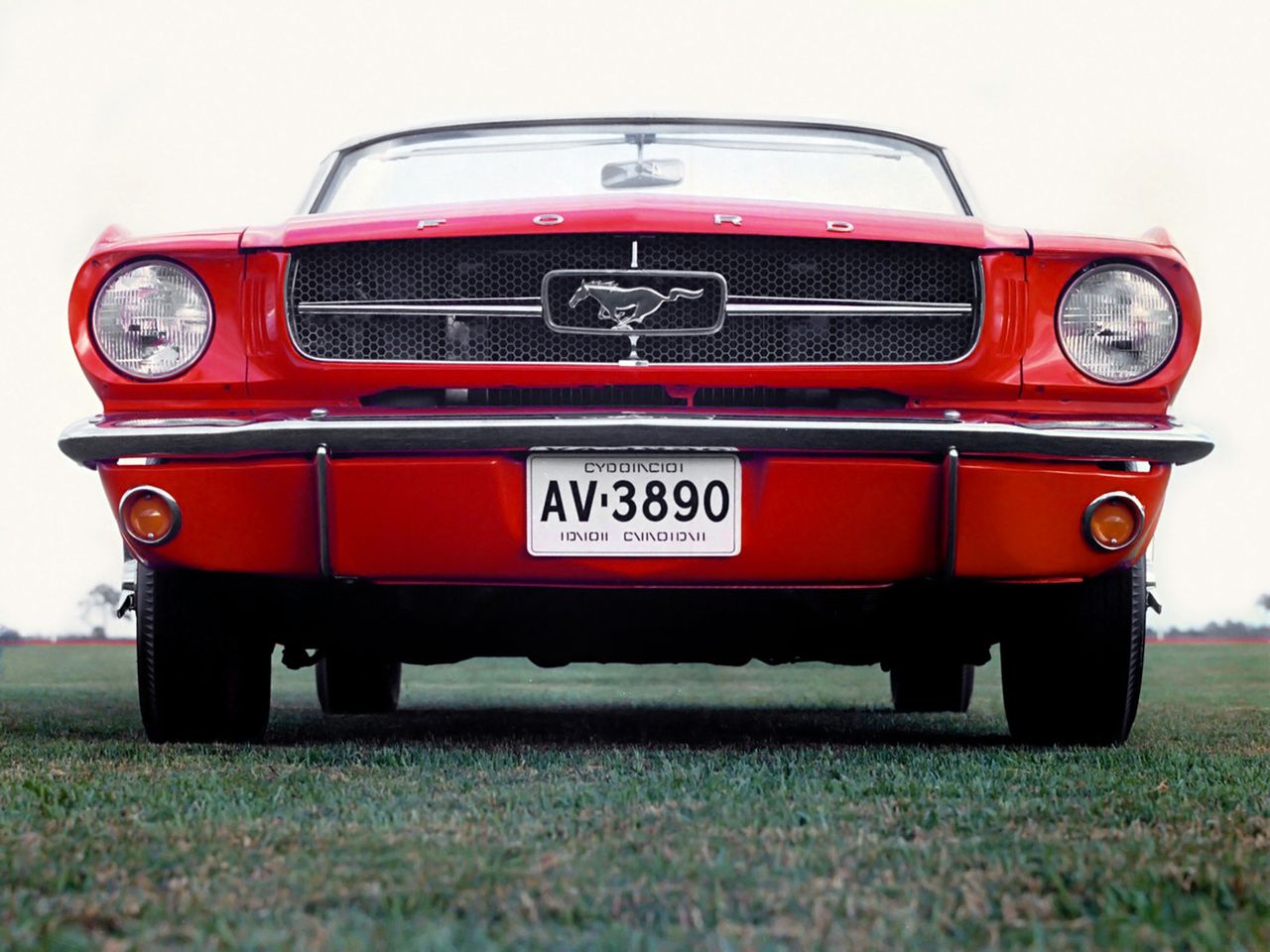 Ford Mustang I: ewolucja od malca po Bossa [galeria zdjęć] 4