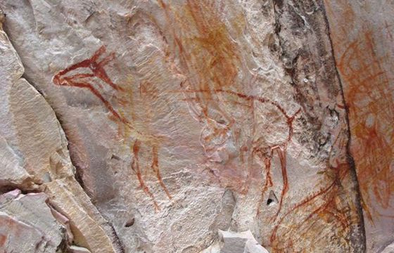 Brazylijska telewizja zniszczyła malowidła sprzed 11 tys. lat. Zapłaci 500 tys. dolarów kary