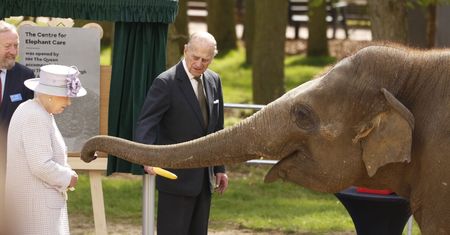 90-letnia królowa Elżbieta z mężem odwiedziła londyńskie ZOO! (ZDJĘCIA)