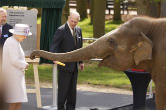 90-letnia królowa Elżbieta z mężem odwiedziła londyńskie ZOO! (ZDJĘCIA)