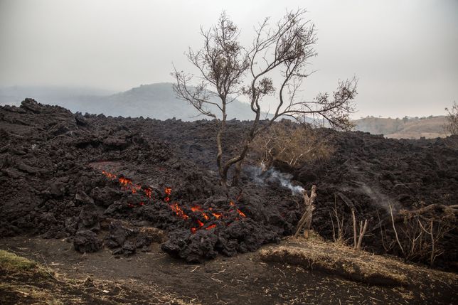 Zniszczenia po erupcjach wulkanu Pacaya