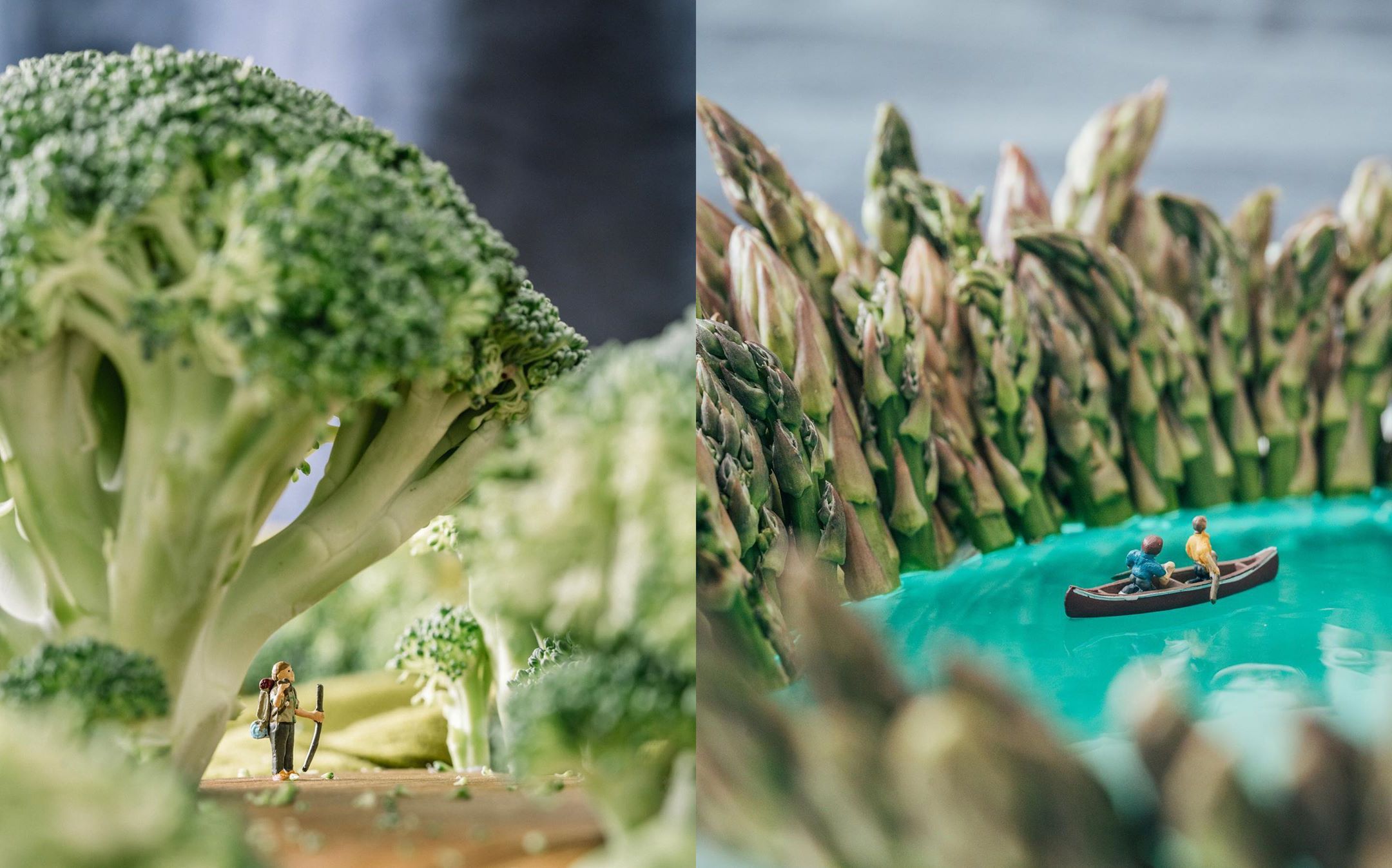 Nieznane światy miniatur we własnym domu. Fotografka pokazała szczyt kreatywności! 1