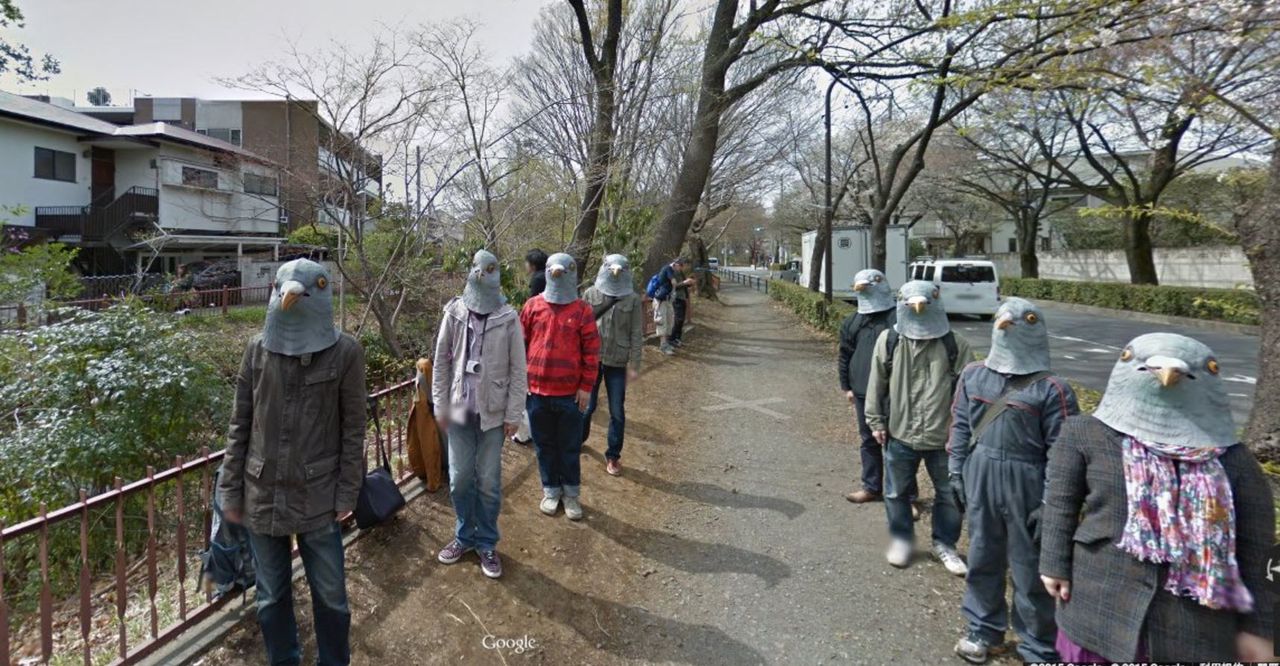 Google Street View. Przegląd wpadek i nietypowych zdjęć
