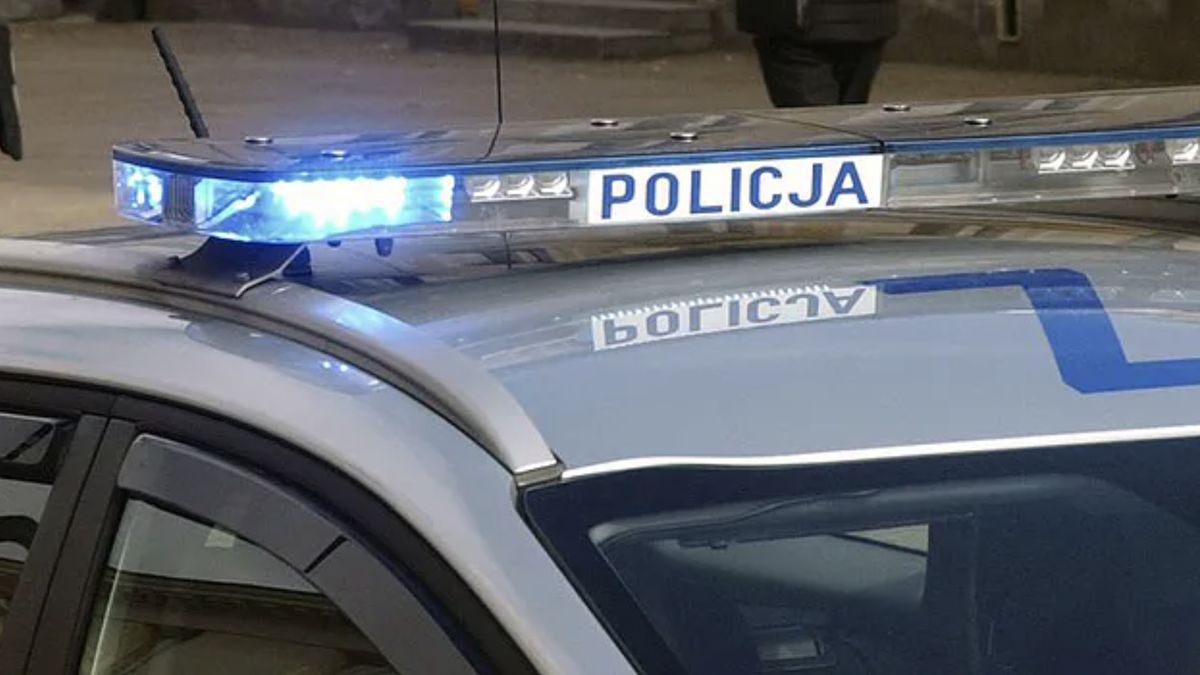 wpwiado policja radiowóz kogut