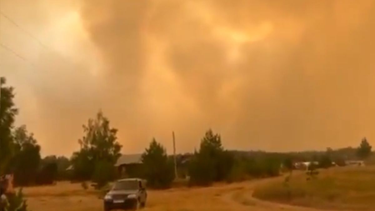 Płoną lasy w obwodzie riazańskim