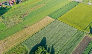Gliwice. Śmierdząca sprawa w centrum miasta. Podejrzenie znów padło na oczyszczalnię