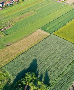 Gliwice. Śmierdząca sprawa w centrum miasta. Podejrzenie znów padło na oczyszczalnię