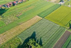 Gliwice. Śmierdząca sprawa w centrum miasta. Podejrzenie znów padło na oczyszczalnię