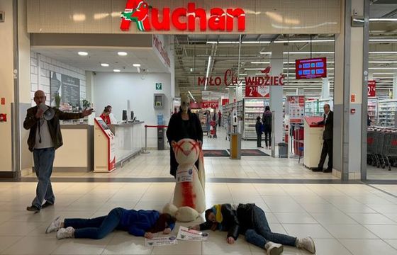 "Złożyli życzenia świąteczne" w Auchan i Leroy Merlin. I już zapowiadają kolejne pikiety na ten weekend