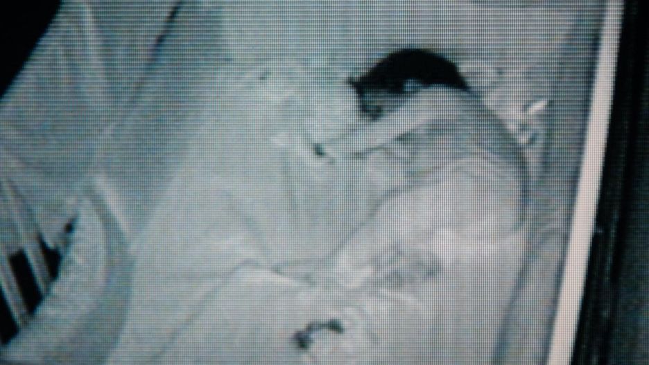 Fiński sąd o elektronicznej niani